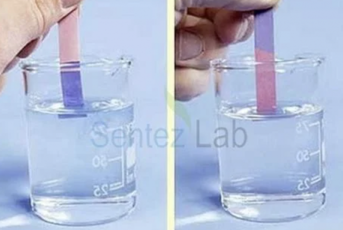 narsist erkek turnusolu